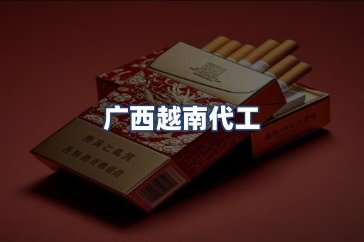 广西越南代工